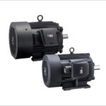 Fuji Electric Low-Voltage Three-Phase Induction Motors